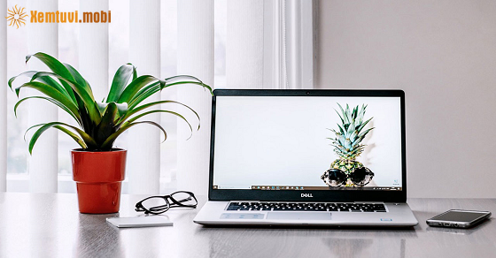 Tử vi chủ nhật của bạn ngày 8-11-2020 Tử vi chủ nhật của bạn ngày 8-11-2020