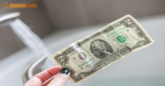 Tử vi ngày 1/11/2020 của 12 cung hoàng đạo Tử vi ngày 1/11/2020 của 12 cung hoàng đạo