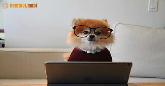 Tử vi thứ 2 của bạn ngày 2-11-2020 Tử vi thứ 2 của bạn ngày 2-11-2020