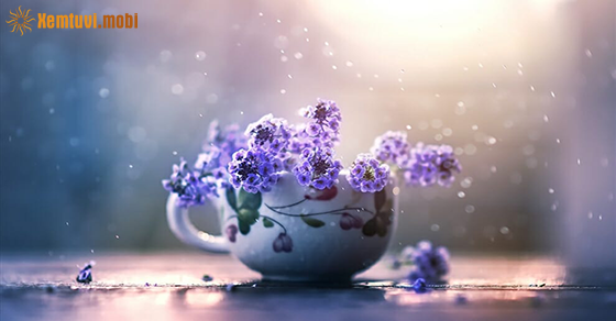 Tử vi thứ 7 của bạn ngày 31-10-2020 Tử vi thứ 7 của bạn ngày 31-10-2020