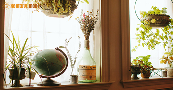 Tử vi ngày 7/11/2020 của 12 cung hoàng đạo Tử vi ngày 7/11/2020 của 12 cung hoàng đạo