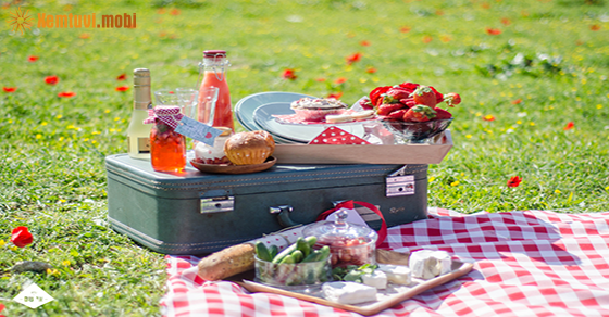 Tử vi tuần này của 12 cung hoàng đạo từ 19/10 đến 25/10/2020