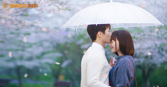 Tử vi chủ nhật của bạn ngày 1-11-2020 Tử vi chủ nhật của bạn ngày 1-11-2020