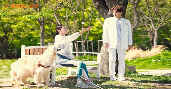 Tử vi hôm nay thứ 5 ngày 12.11.2020 của 12 cung hoàng đạo Tử vi hôm nay thứ 5 ngày 12.11.2020 của 12 cung hoàng đạo