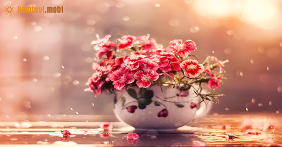 Tử vi thứ ba của 12 con giáp ngày 10/11/2020 Tử vi thứ ba của 12 con giáp ngày 10/11/2020