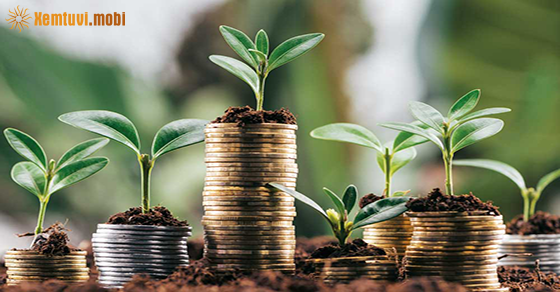 Xem tử vi 12 con giáp ngày 23.11.2020 thứ 2