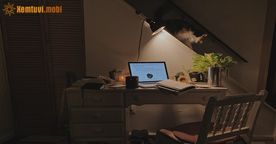 Tử vi ngày 22/11/2020 của 12 cung hoàng đạo Tử vi ngày 22/11/2020 của 12 cung hoàng đạo