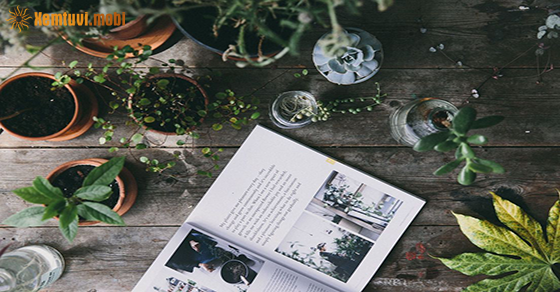 Tử vi thứ 2 của bạn ngày 16-11-2020