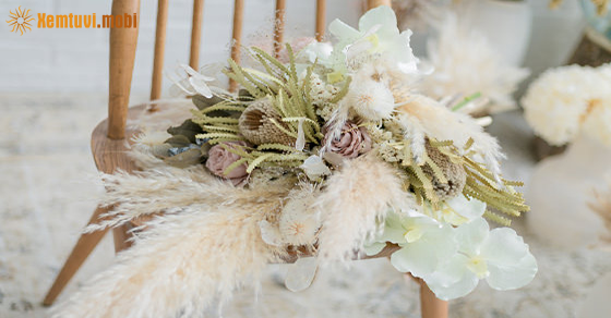 Tử vi ngày 24/11/2020 của 12 cung hoàng đạo