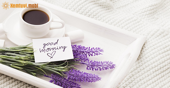 Tử vi thứ 7 của bạn ngày 21-11-2020 Tử vi thứ 7 của bạn ngày 21-11-2020