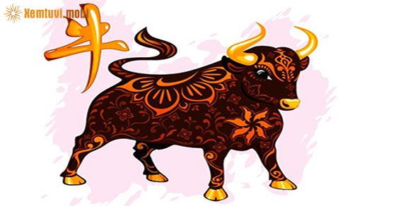 Bói tử vi tuổi Sửu nữ mạng năm 2021 Bói tử vi tuổi Sửu nữ mạng năm 2021