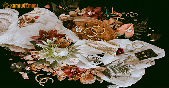 Tử vi ngày 1/1/2021 của 12 cung hoàng đạo Tử vi ngày 1/1/2021 của 12 cung hoàng đạo