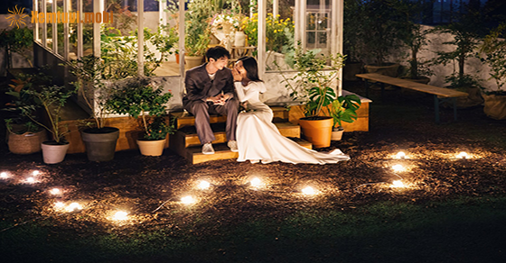 Tử vi tuần mới 12 cung hoàng đạo 28/12 đến 3/1/2021 Tử vi tuần mới 12 cung hoàng đạo 28/12 đến 3/1/2021