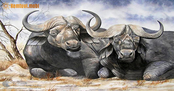 Xem tử vi 2021 tuổi Sửu nam mạng Xem tử vi 2021 tuổi Sửu nam mạng