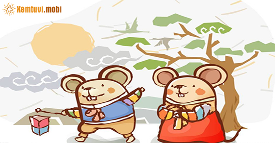 Xem tử vi 2021 tuổi Tý nam mạng Xem tử vi 2021 tuổi Tý nam mạng