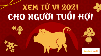 Xem bói tử vi tuổi Hợi năm 2021 chi tiết nam mạng và nữ mạng Xem bói tử vi tuổi Hợi năm 2021 chi tiết nam mạng và nữ mạng