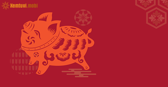 Bói tử vi tuổi Hợi nữ mạng và nam mạng năm 2021 Bói tử vi tuổi Hợi nữ mạng và nam mạng năm 2021