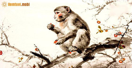 Bói tử vi tuổi Thân nữ mạng và nam nạng năm 2021