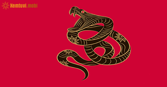 Xem tử vi năm 2021 của tuổi Tỵ Xem tử vi năm 2021 của tuổi Tỵ