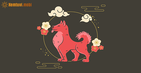 Xem tử vi 2021 tuổi Tuất nam mạng và nữ mạng Xem tử vi 2021 tuổi Tuất nam mạng và nữ mạng