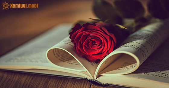 Tử vi tháng 2 năm 2021 của 12 cung hoàng đạo Tử vi tháng 2 năm 2021 của 12 cung hoàng đạo