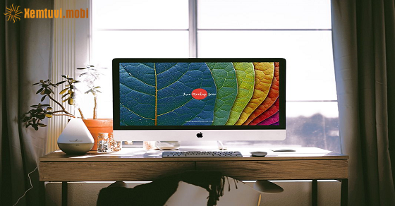 Xem tử vi 12 con giáp ngày 29.1.2021 thứ 6 Xem tử vi 12 con giáp ngày 29.1.2021 thứ 6