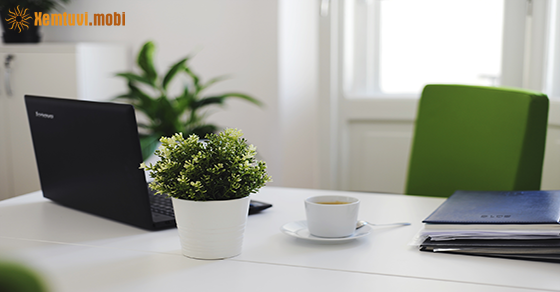 Xem bói tử vi 12 con giáp tháng 3 năm 2021