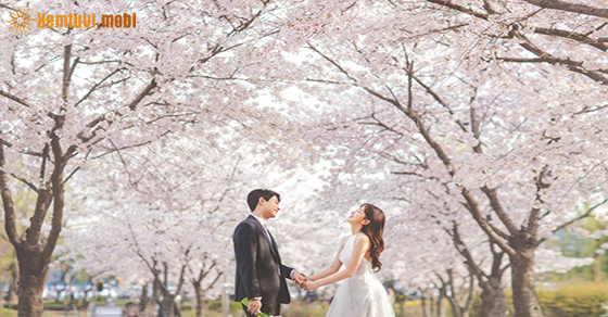 Xem tử vi ngày 28-2-2021 chủ nhật Xem tử vi ngày 28-2-2021 chủ nhật