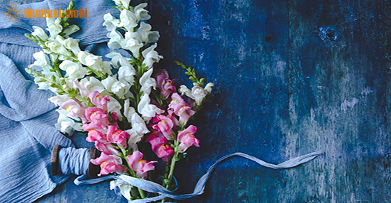 Tử vi ngày 2/3/2021 của 12 cung hoàng đạo Tử vi ngày 2/3/2021 của 12 cung hoàng đạo