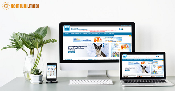 Xem tử vi 12 con giáp ngày 16.3.2021 thứ 3 Xem tử vi 12 con giáp ngày 16.3.2021 thứ 3