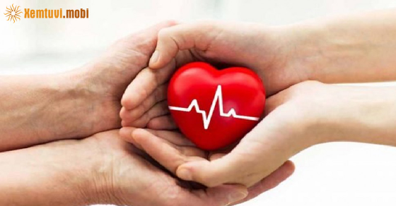 Xem tử vi 12 con giáp ngày 19.4.2021 thứ 2 Xem tử vi 12 con giáp ngày 19.4.2021 thứ 2