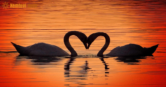 Xem tử vi 12 con giáp ngày 7.5.2021 thứ 6 Xem tử vi 12 con giáp ngày 7.5.2021 thứ 6