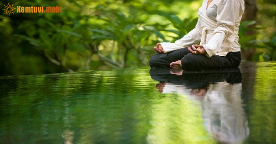 Xem bói tử vi 12 con giáp tháng 5 năm 2021 Xem bói tử vi 12 con giáp tháng 5 năm 2021