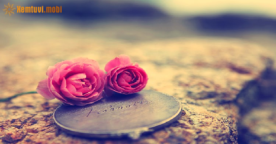 Tử vi chủ nhật của bạn ngày 2-5-2021 Tử vi chủ nhật của bạn ngày 2-5-2021