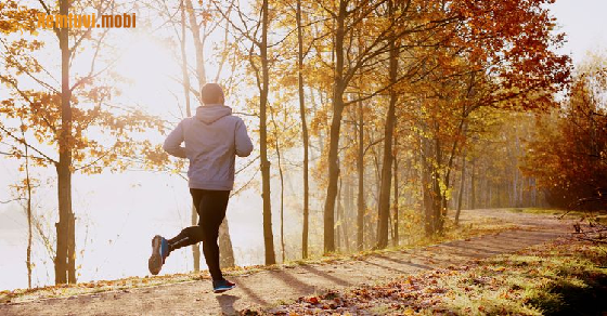 Tử vi tháng 5 năm 2021 của 12 cung hoàng đạo