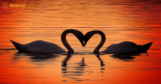 Tử vi chủ nhật của bạn ngày 9-5-2021 Tử vi chủ nhật của bạn ngày 9-5-2021