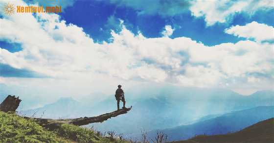 Tử vi ngày 3/6/2021 của 12 cung hoàng đạo Tử vi ngày 3/6/2021 của 12 cung hoàng đạo