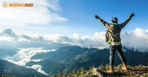 Tử vi ngày 4/6/2021 của 12 cung hoàng đạo