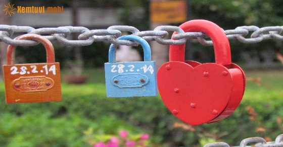 Tử vi tuần mới 12 cung hoàng đạo từ 24/5 đến 30/5/2021