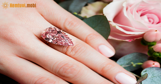 Tử vi chủ nhật của 12 con giáp ngày 1/8/2021 Tử vi chủ nhật của 12 con giáp ngày 1/8/2021