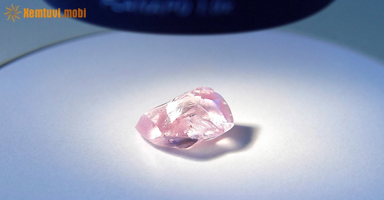 Tử vi chủ nhật của 12 con giáp ngày 18/7/2021 Tử vi chủ nhật của 12 con giáp ngày 18/7/2021