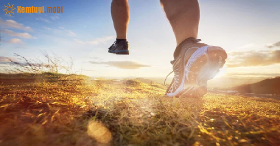 Tử vi ngày 2/9/2021 của 12 cung hoàng đạo Tử vi ngày 2/9/2021 của 12 cung hoàng đạo