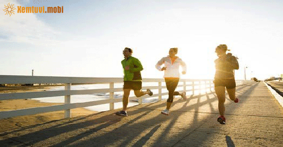 Tử vi ngày 28/8/2021 của 12 cung hoàng đạo Tử vi ngày 28/8/2021 của 12 cung hoàng đạo