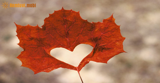 Xem tử vi ngày 5-10-2021 thứ 3 Xem tử vi ngày 5-10-2021 thứ 3