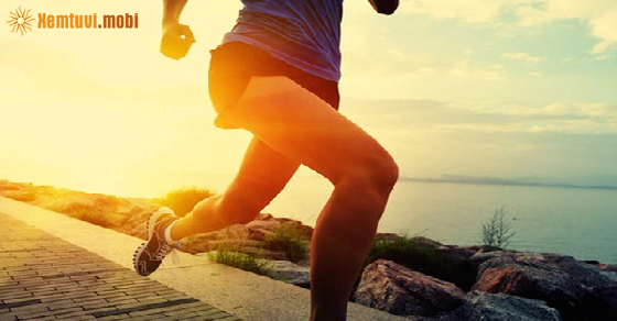 Tử vi ngày 8/10/2021 của 12 cung hoàng đạo Tử vi ngày 8/10/2021 của 12 cung hoàng đạo