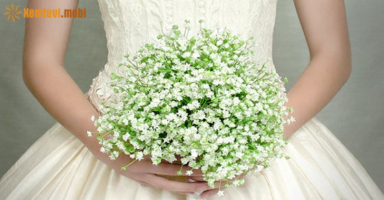 Tử vi thứ 6 của bạn ngày 1-10-2021 Tử vi thứ 6 của bạn ngày 1-10-2021