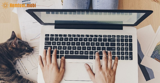 Tử vi của 12 con giáp từ ngày 11/10 đến 17/10/2021 Tử vi của 12 con giáp từ ngày 11/10 đến 17/10/2021