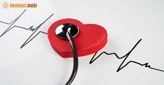 Xem tử vi 12 con giáp ngày 16.11.2021 thứ 3 Xem tử vi 12 con giáp ngày 16.11.2021 thứ 3