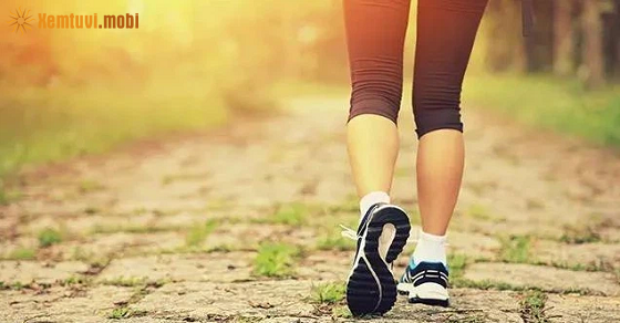 Xem tử vi 12 con giáp ngày 5.11.2021 thứ 6 Xem tử vi 12 con giáp ngày 5.11.2021 thứ 6