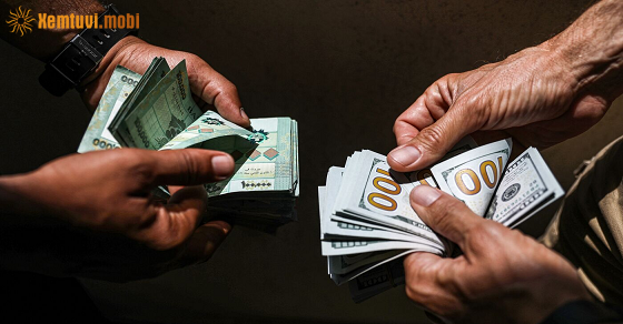 Xem bói tử vi tháng 12/2021 của 12 con giáp Xem bói tử vi tháng 12/2021 của 12 con giáp